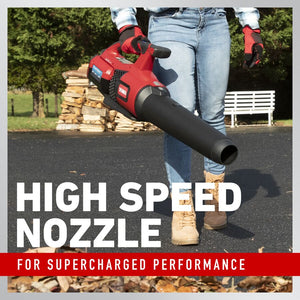Toro	60V MAX* 157 mph Brushless Leaf Blower with 4.0Ah Battery (51822)